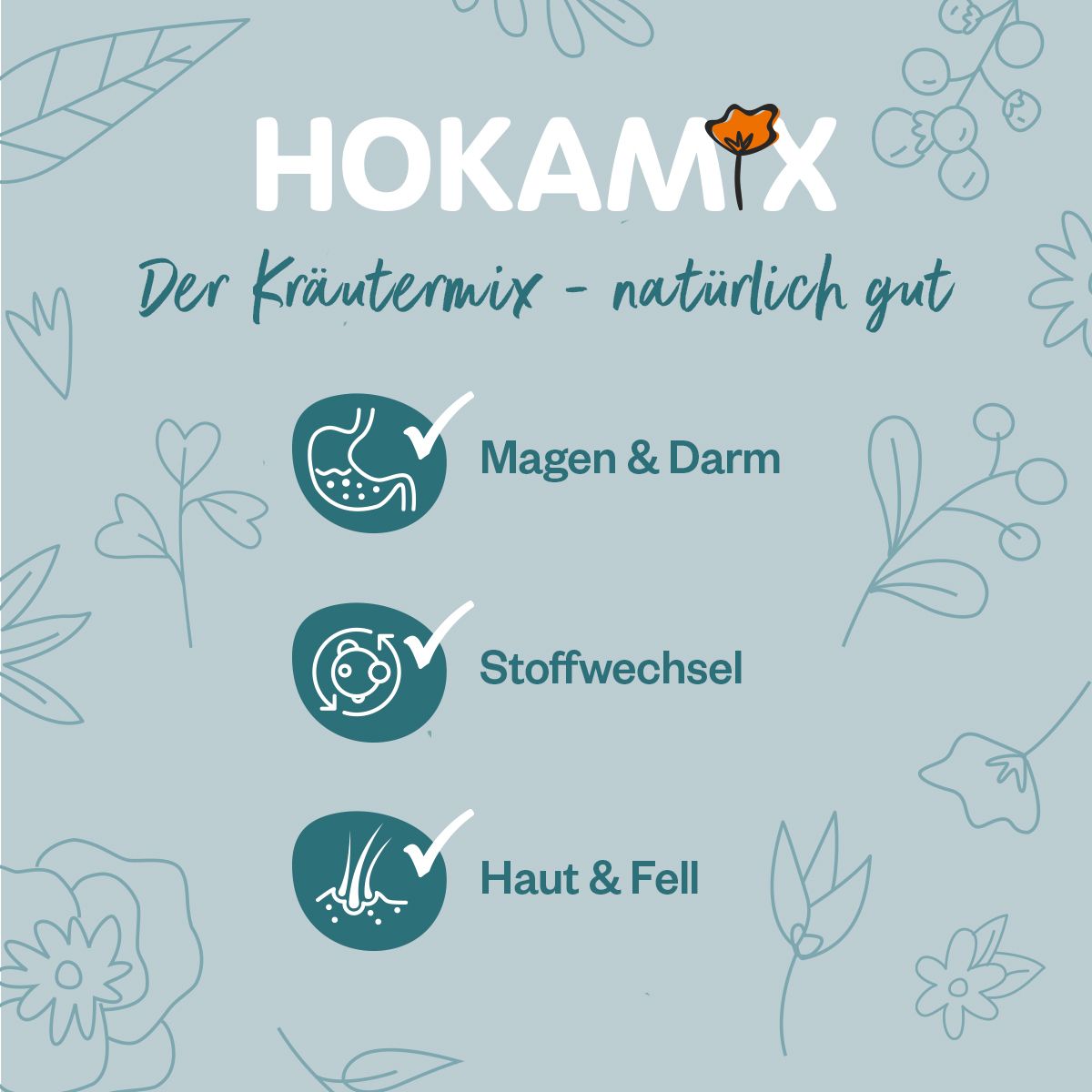Hokamix 30 (Vitality Booster)