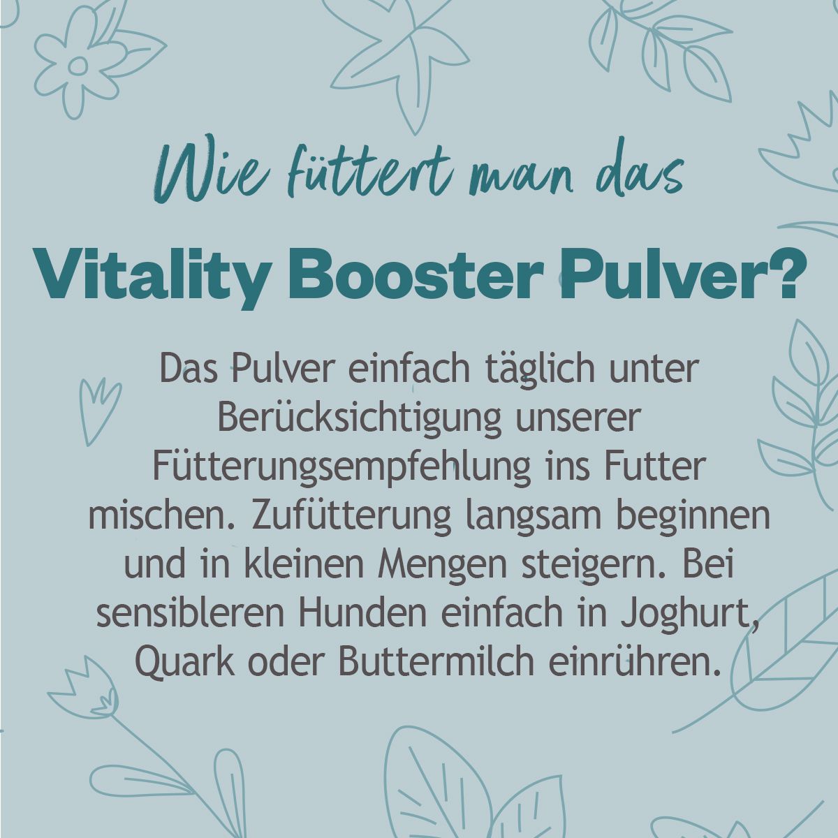 Hokamix 30 (Vitality Booster)