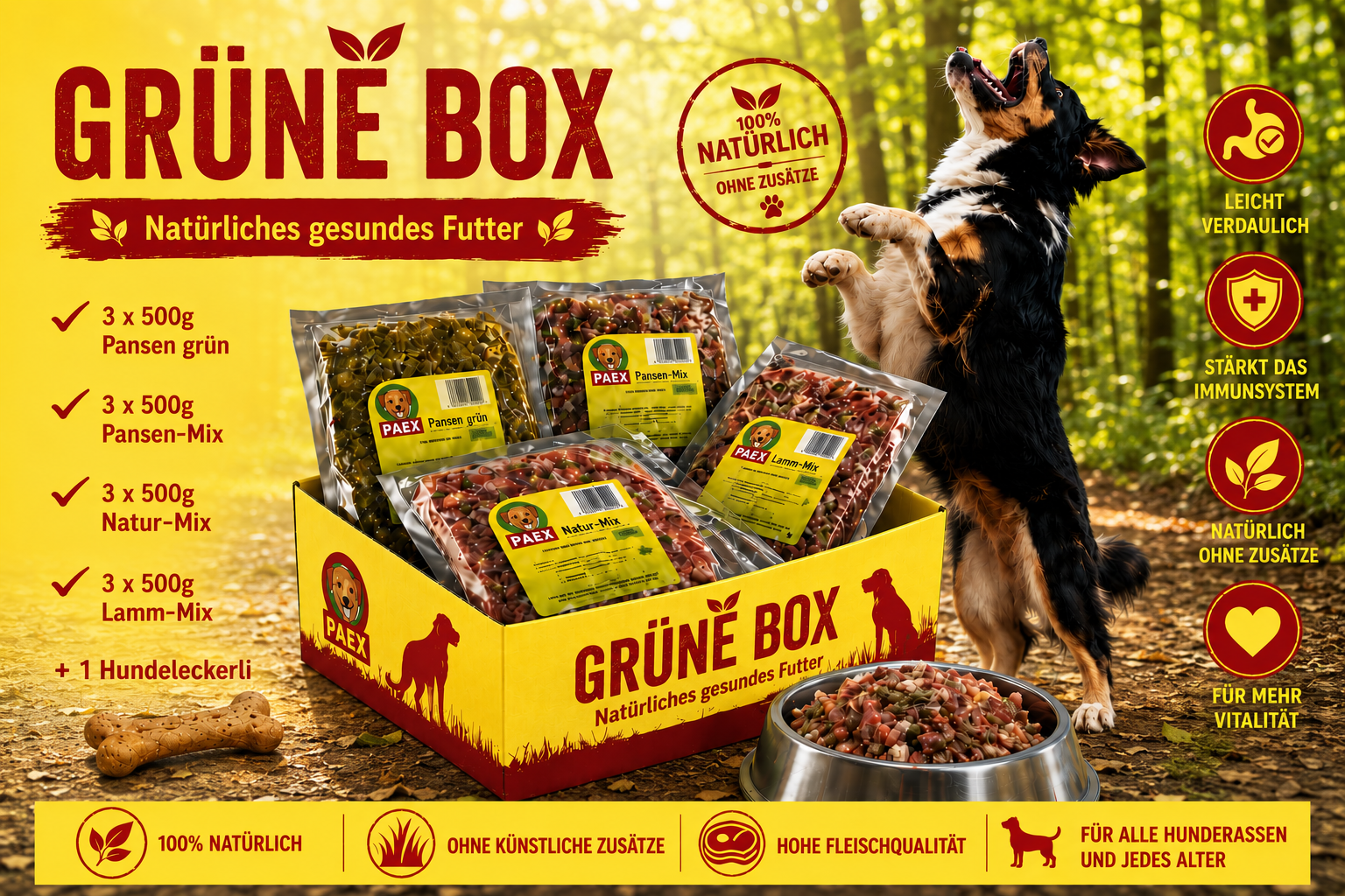Grüne Box