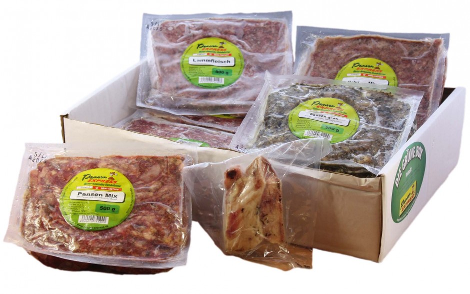 Grüne Box